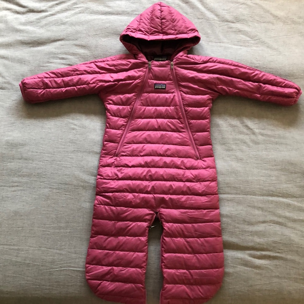 Patagonia bunting